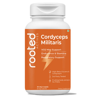 Organic Cordyceps Militaris Extract Capsules | Pure Mushroom Supplement | Lab Tested