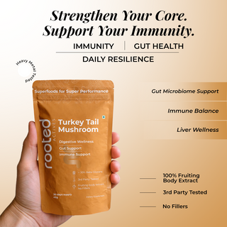 Turkey Tail Mushroom Extract Powder for Immunity, Gut Health & Antioxidant Support