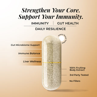 Turkey Tail Mushroom Extract Capsules for Immunity, Gut Health & Cellular Support