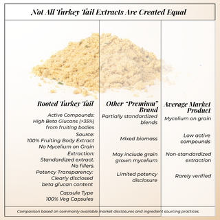 Turkey Tail Mushroom Extract Powder for Immunity, Gut Health & Antioxidant Support