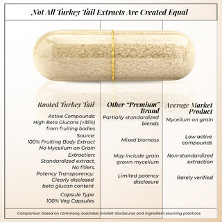 Turkey Tail Mushroom Extract Capsules for Immunity, Gut Health & Cellular Support