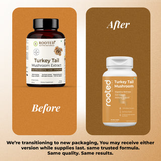 Turkey Tail Mushroom Extract Capsules for Immunity, Gut Health & Cellular Support