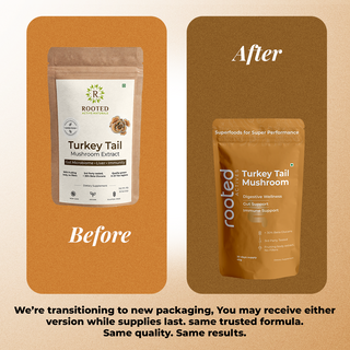 Turkey Tail Mushroom Extract Powder for Immunity, Gut Health & Antioxidant Support