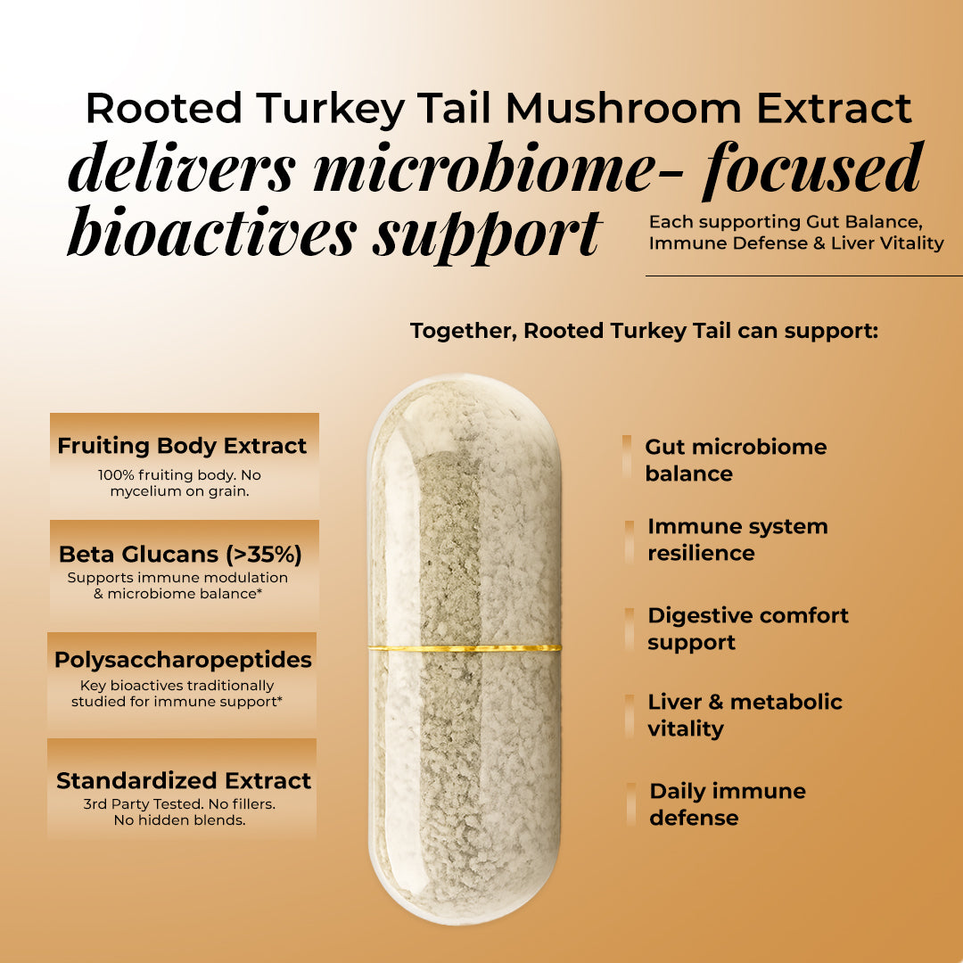 Turkey Tail Powder Vs Capsules: Which Form Delivers Better Gut Benefits