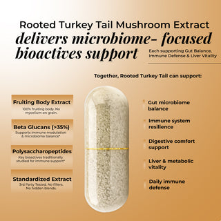 Turkey Tail Mushroom Extract Capsules for Immunity, Gut Health & Cellular Support