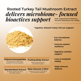 Turkey Tail Mushroom Extract Powder for Immunity, Gut Health & Antioxidant Support
