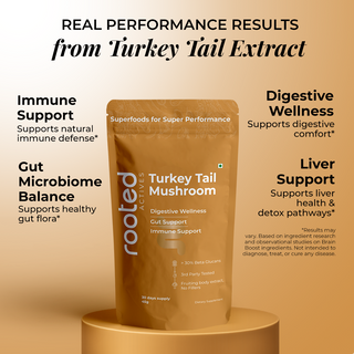 Turkey Tail Mushroom Extract Powder for Immunity, Gut Health & Antioxidant Support