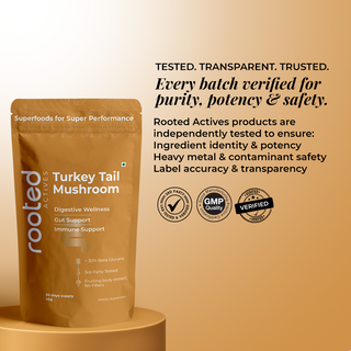 Turkey Tail Mushroom Extract Powder for Immunity, Gut Health & Antioxidant Support