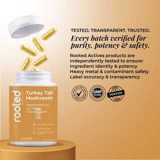 Turkey Tail Mushroom Extract Capsules for Immunity, Gut Health & Cellular Support