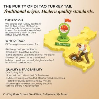 Turkey Tail Mushroom Extract Powder for Immunity, Gut Health & Antioxidant Support