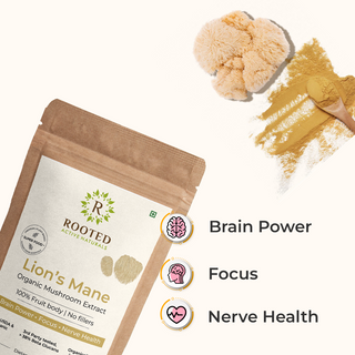 Lion's Mane Organic Mushroom Extract Powder