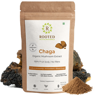 Siberian Chaga Powder for Immunity, Antioxidant Support & Daily Vitality