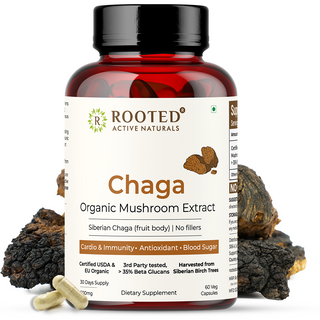Siberian Chaga Mushroom Capsules for Immunity, Antioxidant Support & Daily Vitality