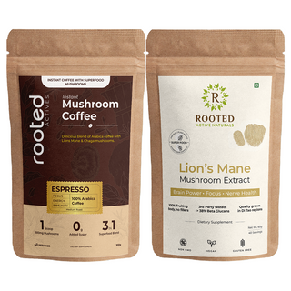 Lion’s Mane Powder x Wellness Mushroom Coffee for Focus & Calm Energy