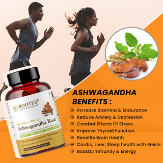Ashwagandha extract (5% Withanolides) with Reishi & Black pepper extract