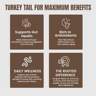Turkey Tail Mushroom Extract Powder for Immunity, Gut Health & Antioxidant Support
