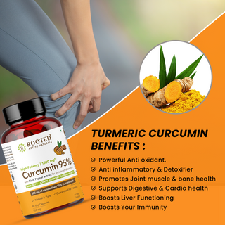 Turmeric Curcumin 95% with Black pepper extract (500 mg  Capsules)