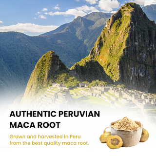 Peruvian Maca Root Powder for Hormonal Balance & Energy Support with 100% Pure Peruvian Maca