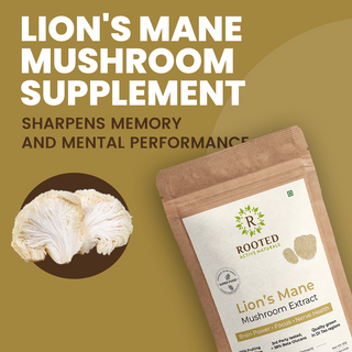 Organic Lion’s Mane Mushroom Powder for Focus, Memory & Brain Health