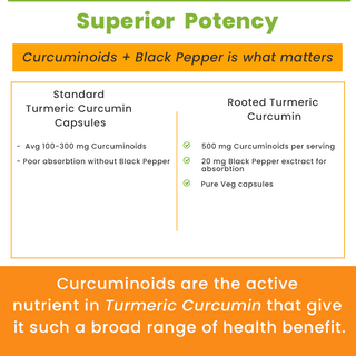 Turmeric Curcumin 95% with Black pepper extract (650 mg  Capsules)
