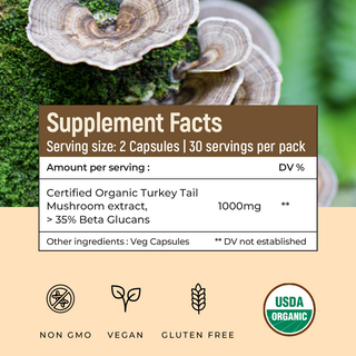 Turkey Tail Mushroom Extract Capsules