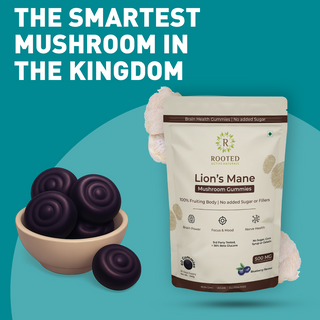 Organic Lion’s Mane Mushroom Gummies Sugar-Free Brain Boost for Focus, Memory & Clarity