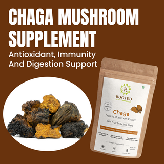 Siberian Chaga Powder for Immunity, Antioxidant Support & Daily Vitality