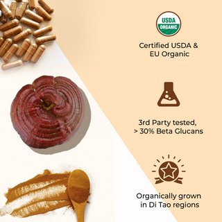 USDA Organic Reishi Mushroom Extract Capsule, > 30% Beta Glucans