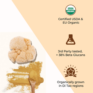 Organic Lions Mane Mushroom Extract Powder