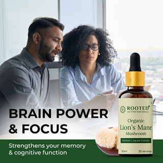 Rooted Lion's Mane mushroom liquid extract