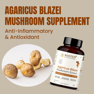 Organic Agaricus Blazei Extract Capsule for Inflammation, Blood Sugar Balance & Antioxidant Support
