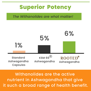 Ashwagandha extract (5% Withanolides) with Reishi & Black pepper extract