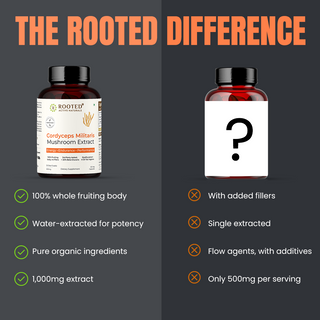 Cordyceps Mushroom - Performance Mushroom Supplement for Energy, Immunity, Fitness Support Supplement to Aid Oxygen Uptake, Testosterone & Virility, Stamina Support (60 Caps)