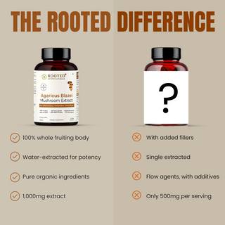 Organic Agaricus Blazei Extract Capsule for Inflammation, Blood Sugar Balance & Antioxidant Support