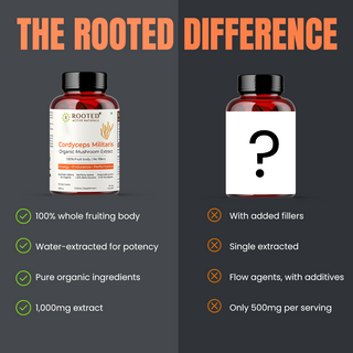 Organic Cordyceps Militaris Capsules Natural Stamina, Energy & Endurance Booster