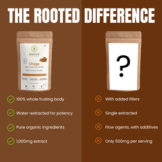 Siberian Chaga Powder for Immunity, Antioxidant Support & Daily Vitality