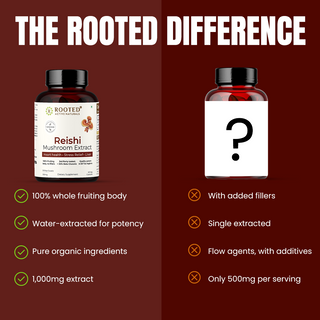 Rooted Reishi Mushroom Capsules for Calm, Clarity & Immunity