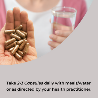 Reishi Mushroom Extract Capsule