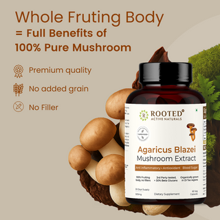 Organic Agaricus Blazei Extract Capsule for Inflammation, Blood Sugar Balance & Antioxidant Support