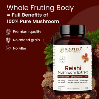 Rooted Reishi Mushroom Capsules for Calm, Clarity & Immunity