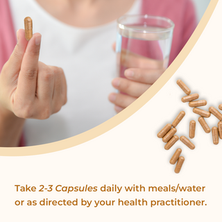 Shiitake Mushroom Extract Capsules