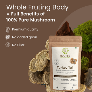 Turkey Tail Mushroom Extract Powder for Immunity, Gut Health & Antioxidant Support