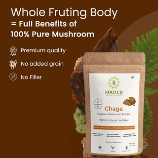 Siberian Chaga Powder for Immunity, Antioxidant Support & Daily Vitality