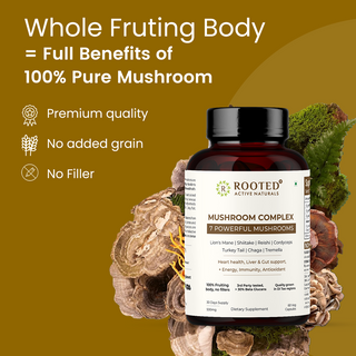 7 Mushroom Complex for Brain, Gut, Immunity & Energy