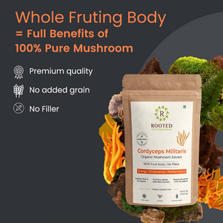 Cordyceps Militaris Extract Powder Stamina, Energy & Endurance Booster