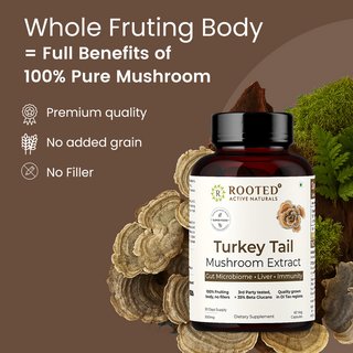 Turkey Tail Mushroom Extract Capsules for Immunity, Gut Health & Cellular Support