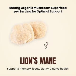 Certified Organic Lion's Mane mushroom Extract Gummies | Memory, Brain & Nerve Health. (No Sugar, Blueberry Flavor)