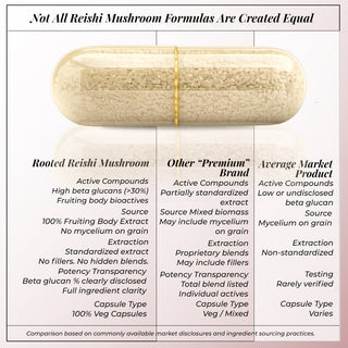 Rooted Reishi Mushroom Capsules for Calm, Clarity & Immunity