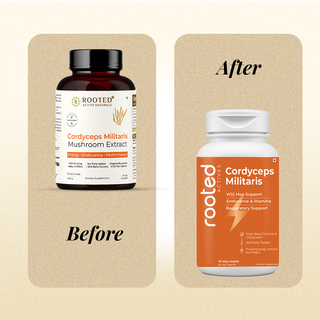 Organic Cordyceps Militaris Extract Capsules | Pure Mushroom Supplement | Lab Tested