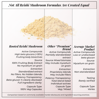 Rooted Reishi Powder Pure Adaptogenic Mushroom for for Daily Calm, Immunity & Stress Relief